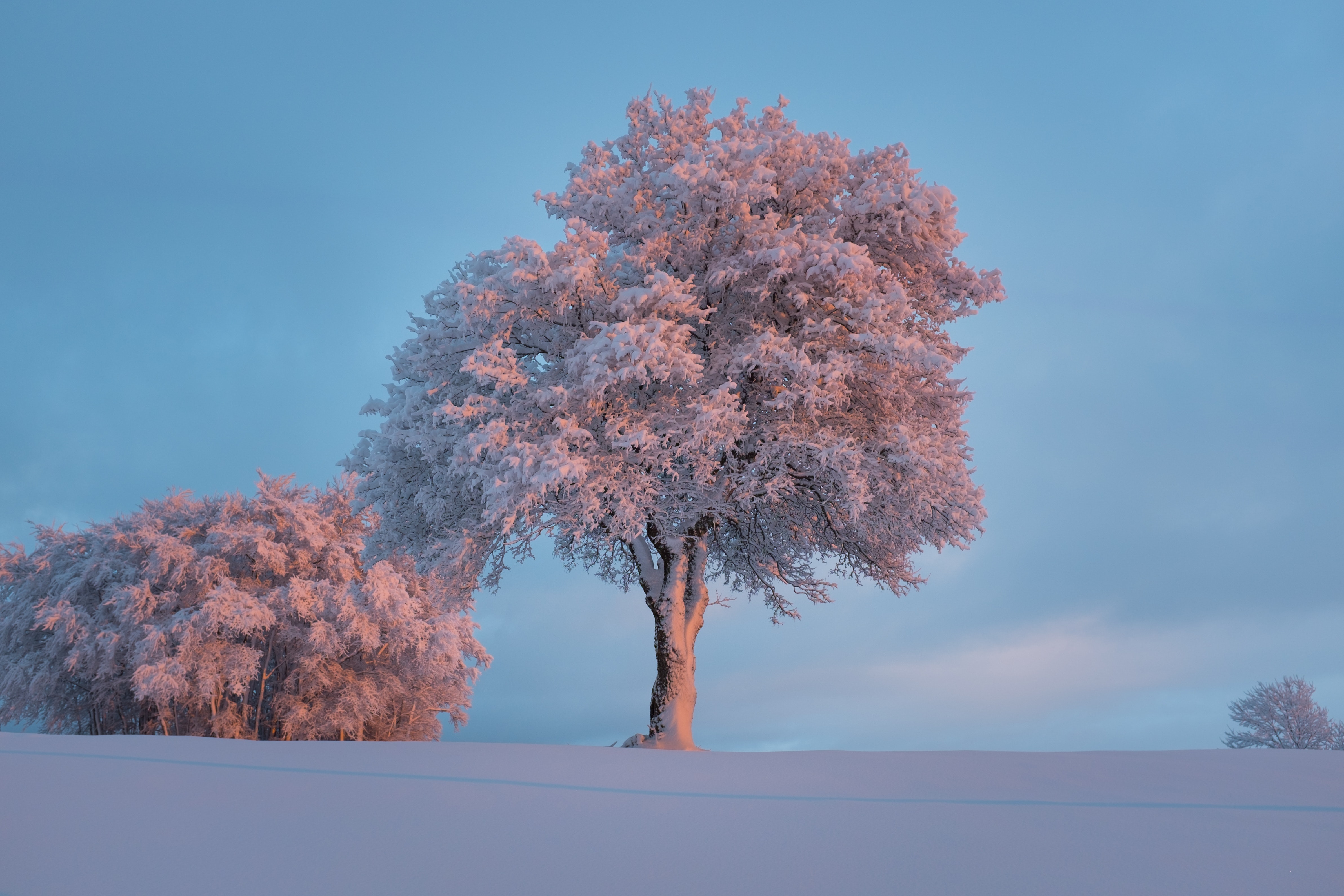 landscape-nature-sky-101529