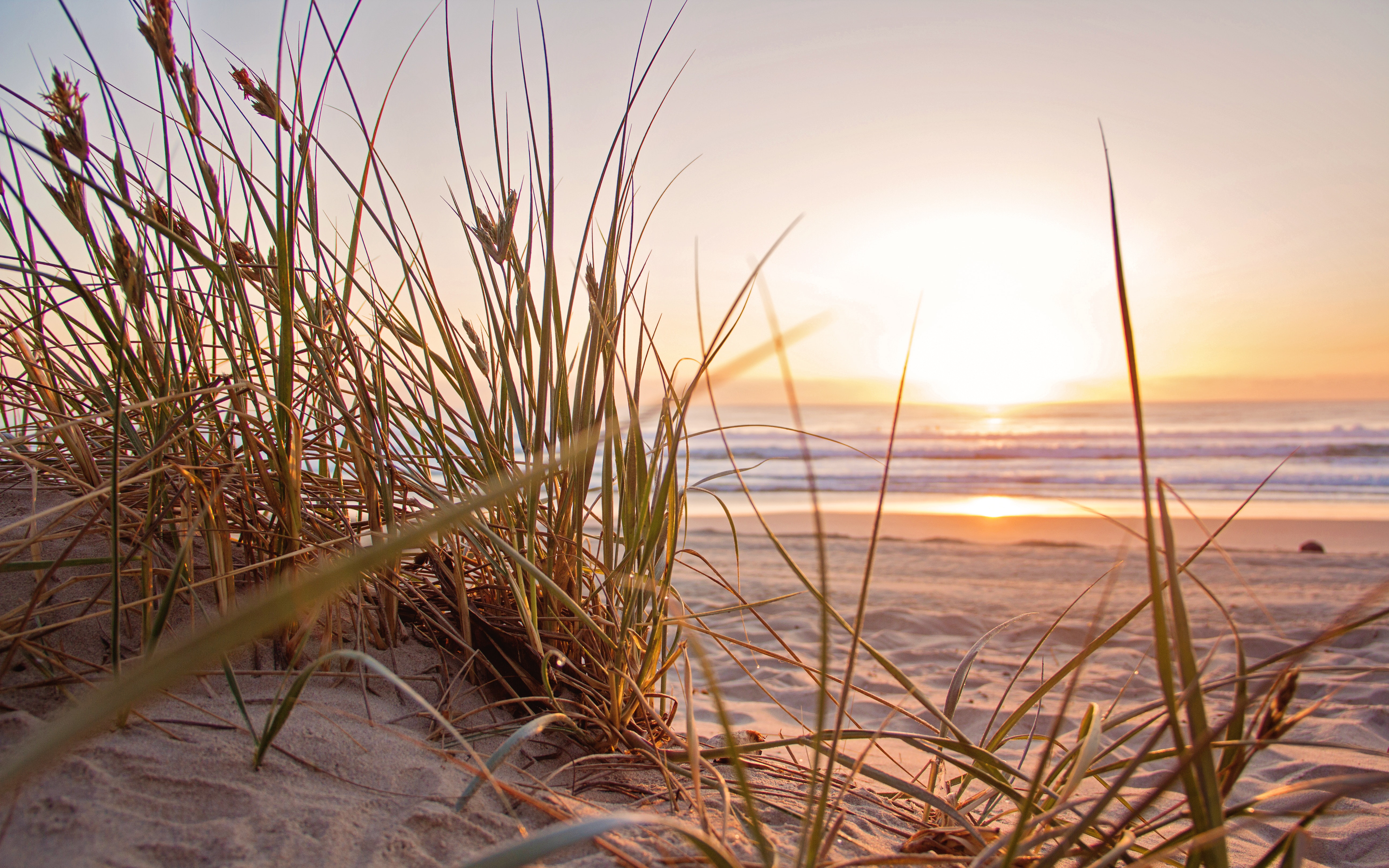 beach-dawn-evening-1300510